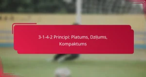 Read more about the article 3-1-4-2 Principi: Platums, Dziļums, Kompaktums