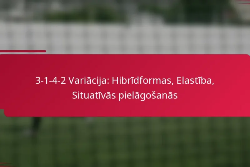 3-1-4-2 Variācija: Hibrīdformas, Elastība, Situatīvās pielāgošanās