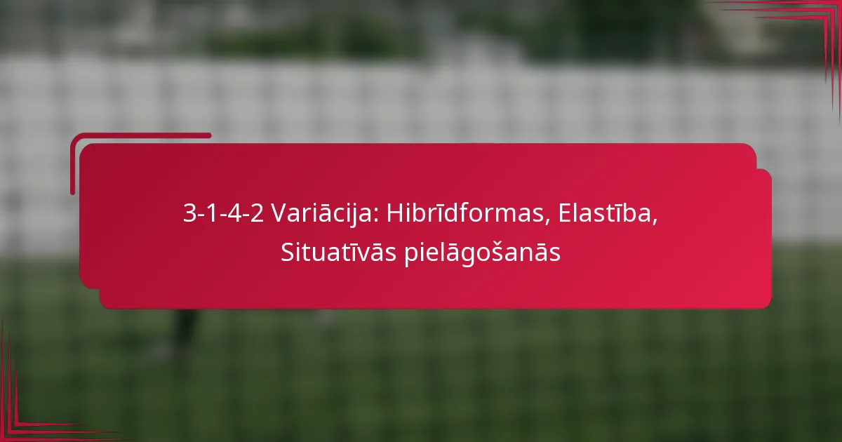 You are currently viewing 3-1-4-2 Variācija: Hibrīdformas, Elastība, Situatīvās pielāgošanās