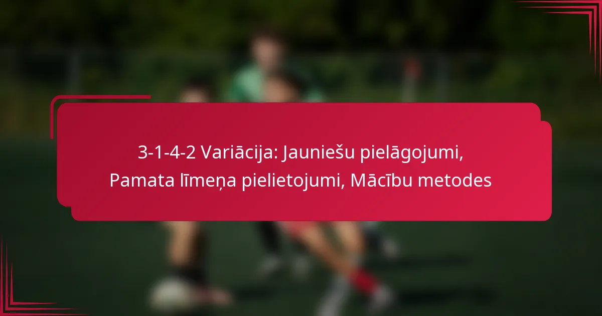 You are currently viewing 3-1-4-2 Variācija: Jauniešu pielāgojumi, Pamata līmeņa pielietojumi, Mācību metodes