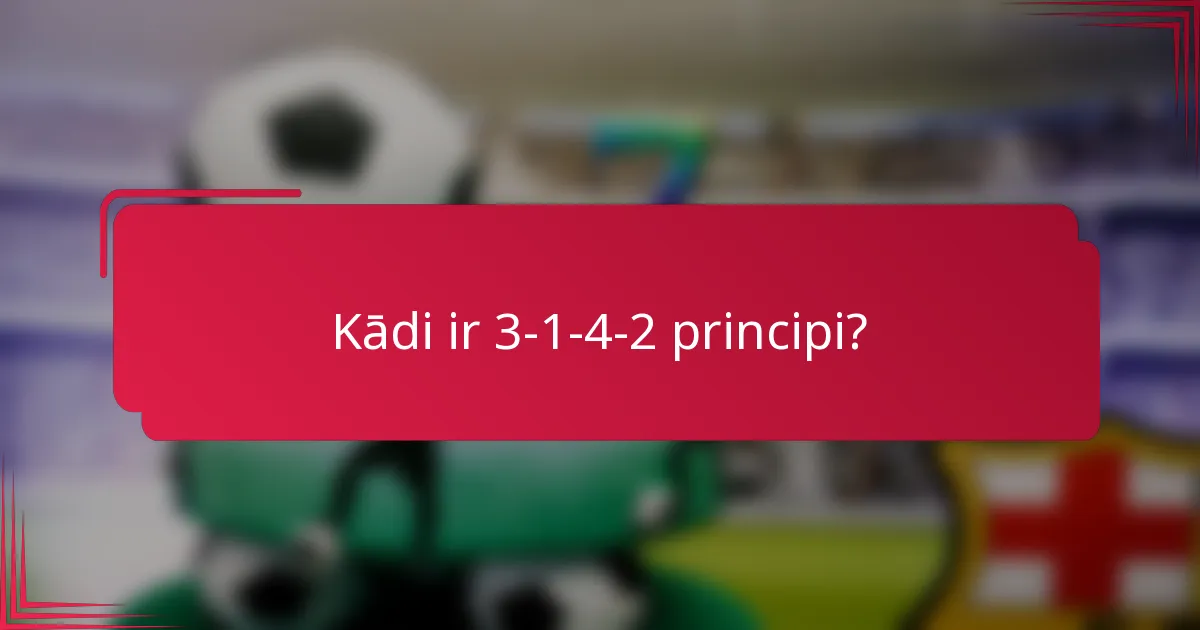 Kādi ir 3-1-4-2 principi?