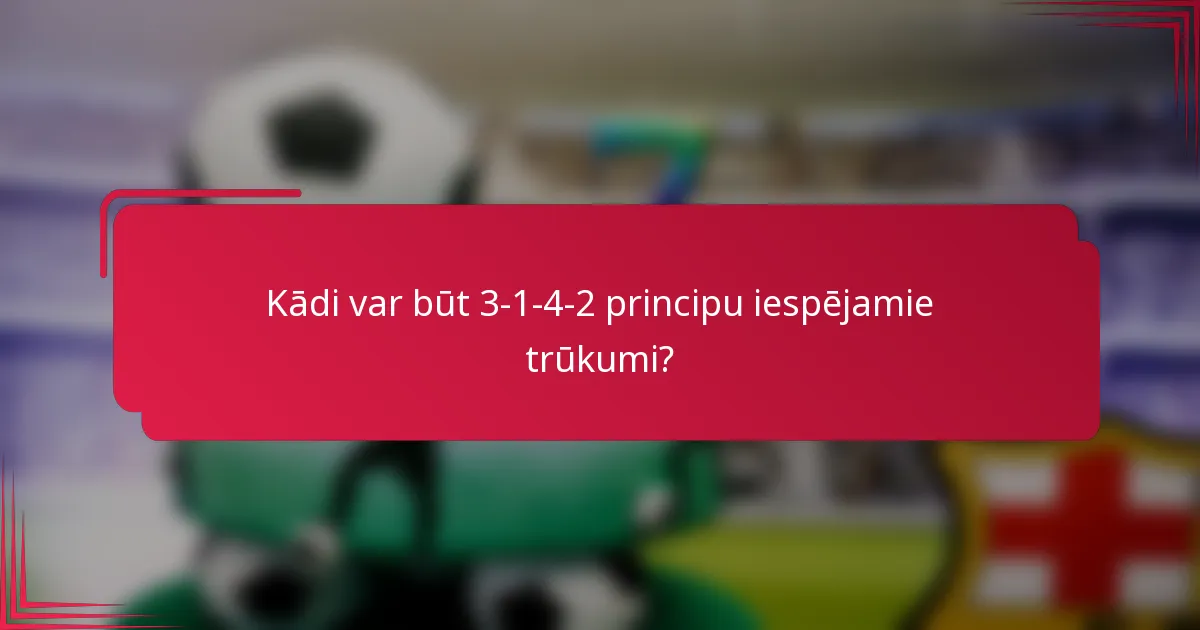 Kādi var būt 3-1-4-2 principu iespējamie trūkumi?